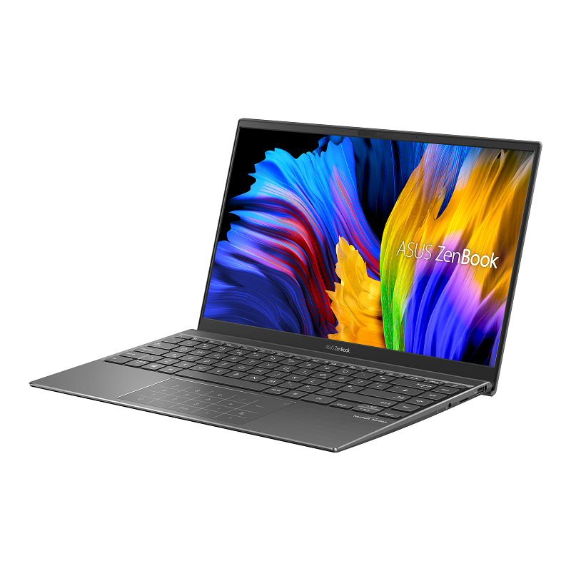 ASUS ZenBook UM425UG