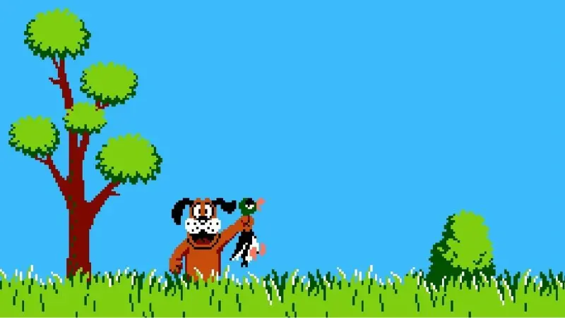 Duck Hunt jpg