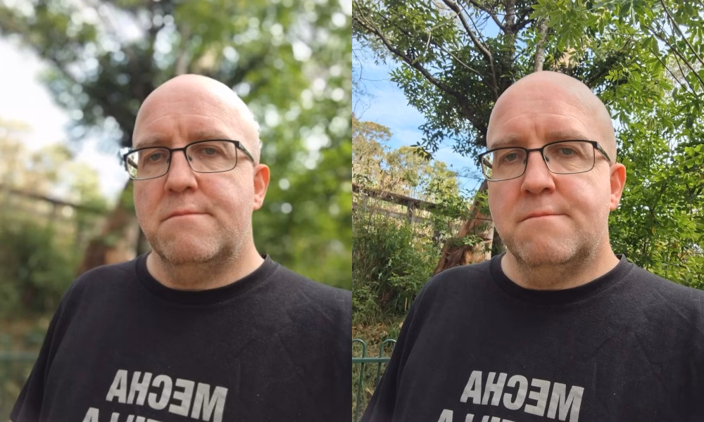 سلفی با و بدون پرتره