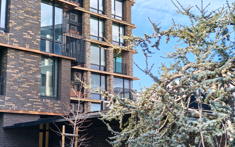 بررسی گوشی پوکو F8 پرو 22 بررسی گوشی پوکو F8 پرو دوربین تله فوتو