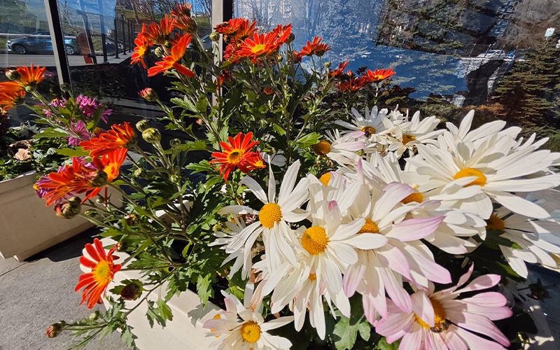 بررسی گوشی پوکو F8 پرو 19 بررسی گوشی پوکو F8 پرو دوربین اولتراواید