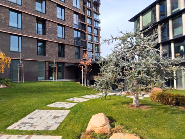 بررسی ZTE Nubia RedMagic 11 Pro 13 دوربین اصلی گوشی ZTE Nubia RedMagic 11 Pro در روز