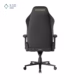 صندلی گیمینگ دی ایکس ریسر مدل Martian Series XL Black